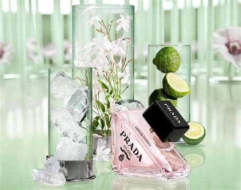 prada paradoxe virtual floral perfume